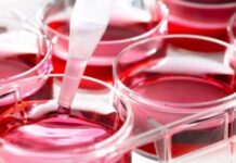 Ontario Increasing Access to Life-Saving Stem Cell Transplants