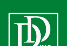 Empowering Communities through the Rhythm of Arts: Dancing Damsels Inc.