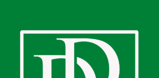 Empowering Communities through the Rhythm of Arts: Dancing Damsels Inc.