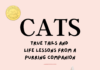 CATS: True Tails and Life Lessons From A Purring Companion By PAMELA WALLIN