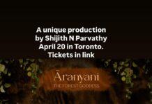 ARANYANI: The Forest Goddess.